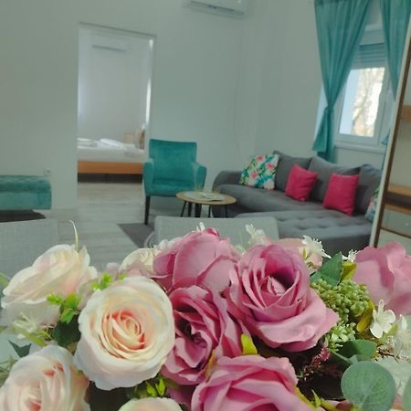 Apartman Radovic Smederevo Exteriör bild