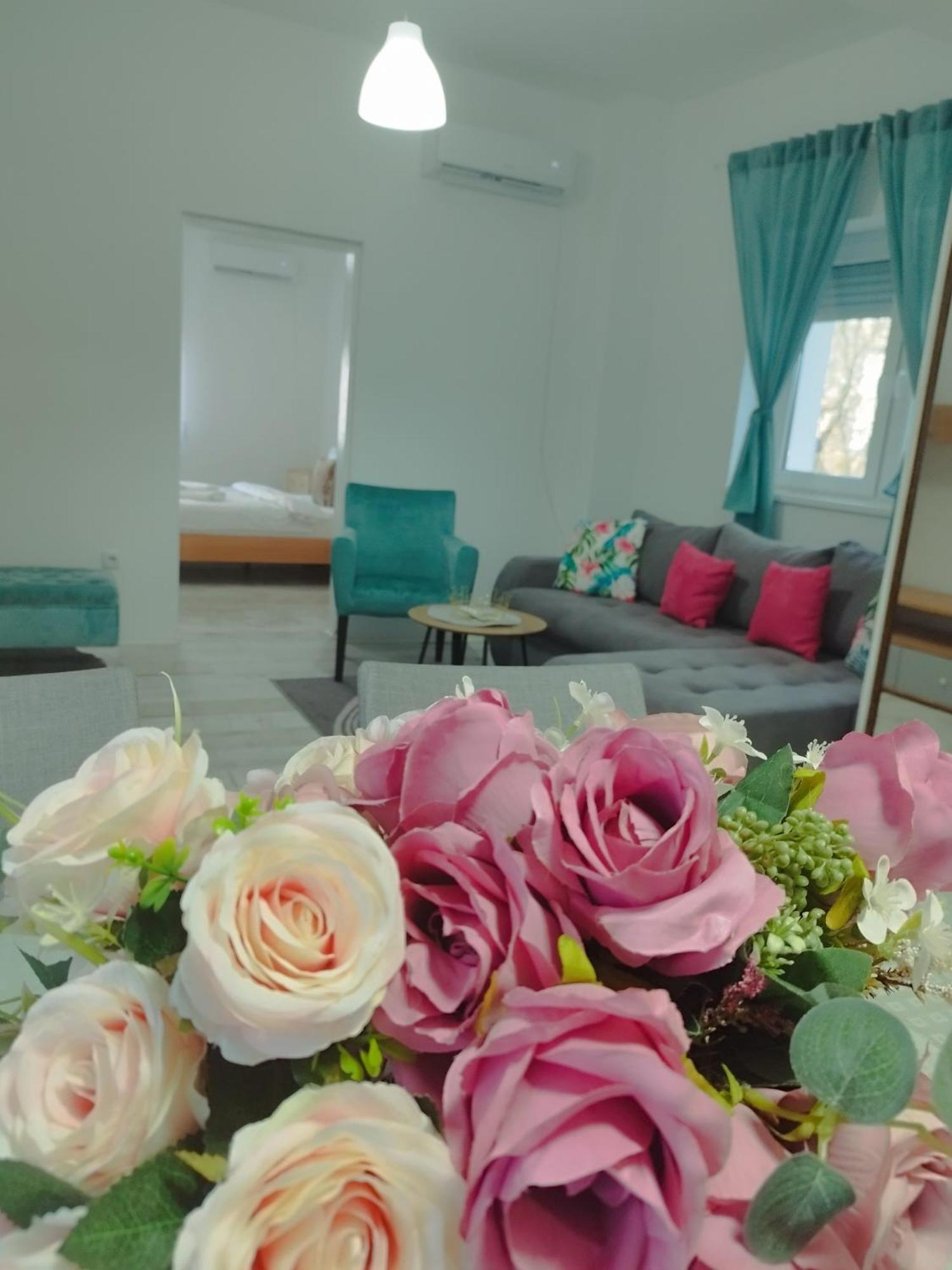Apartman Radovic Smederevo Exteriör bild